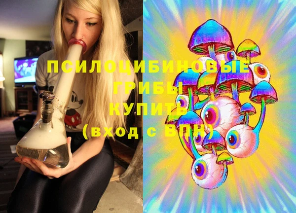 a pvp Надым