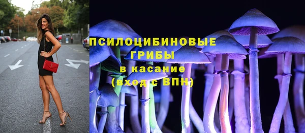 a pvp Надым