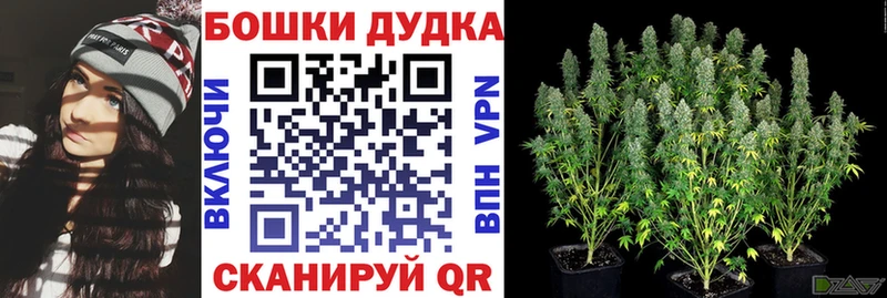 Бошки марихуана THC 21%  Шали 